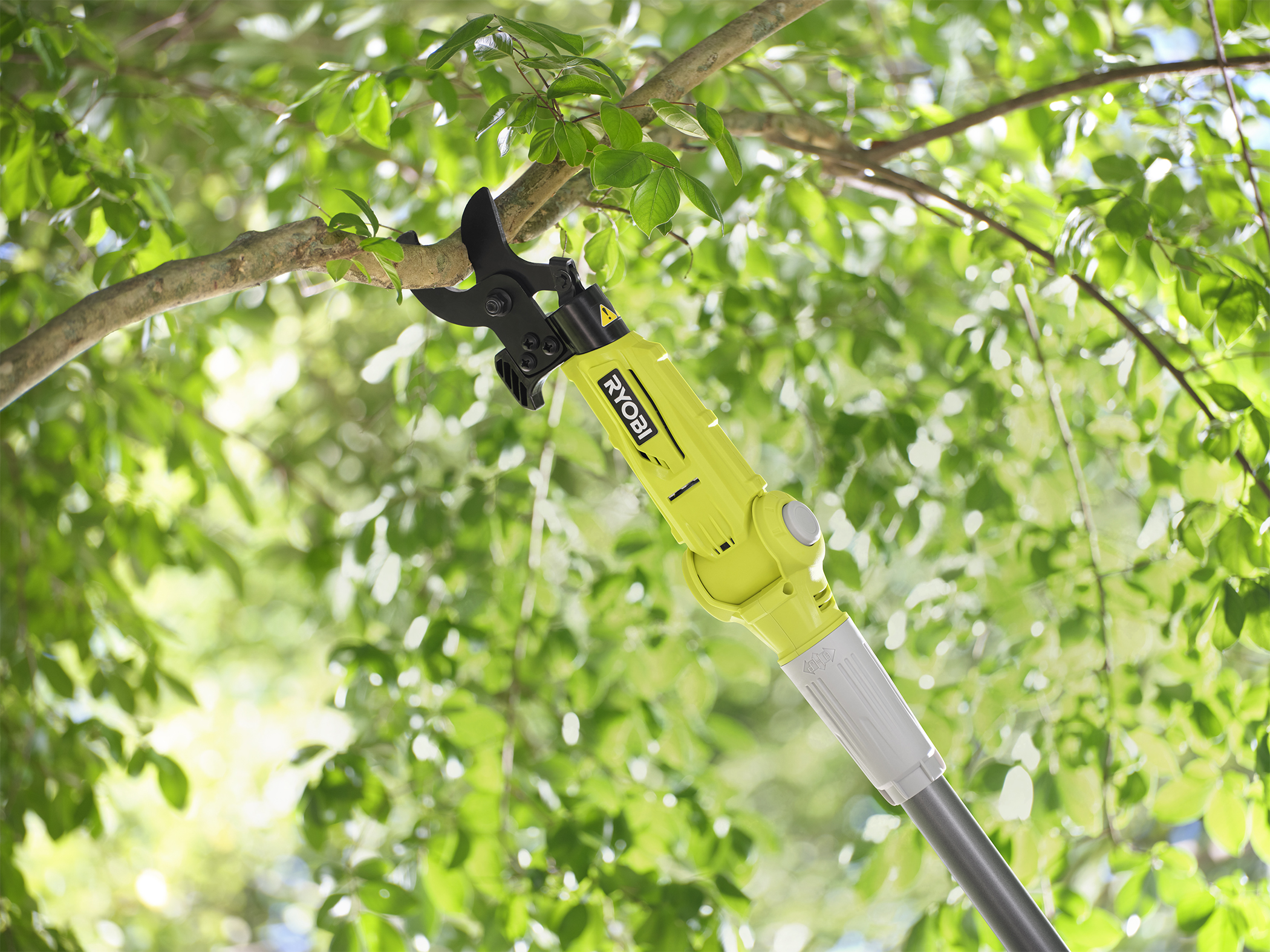 Branch Hook