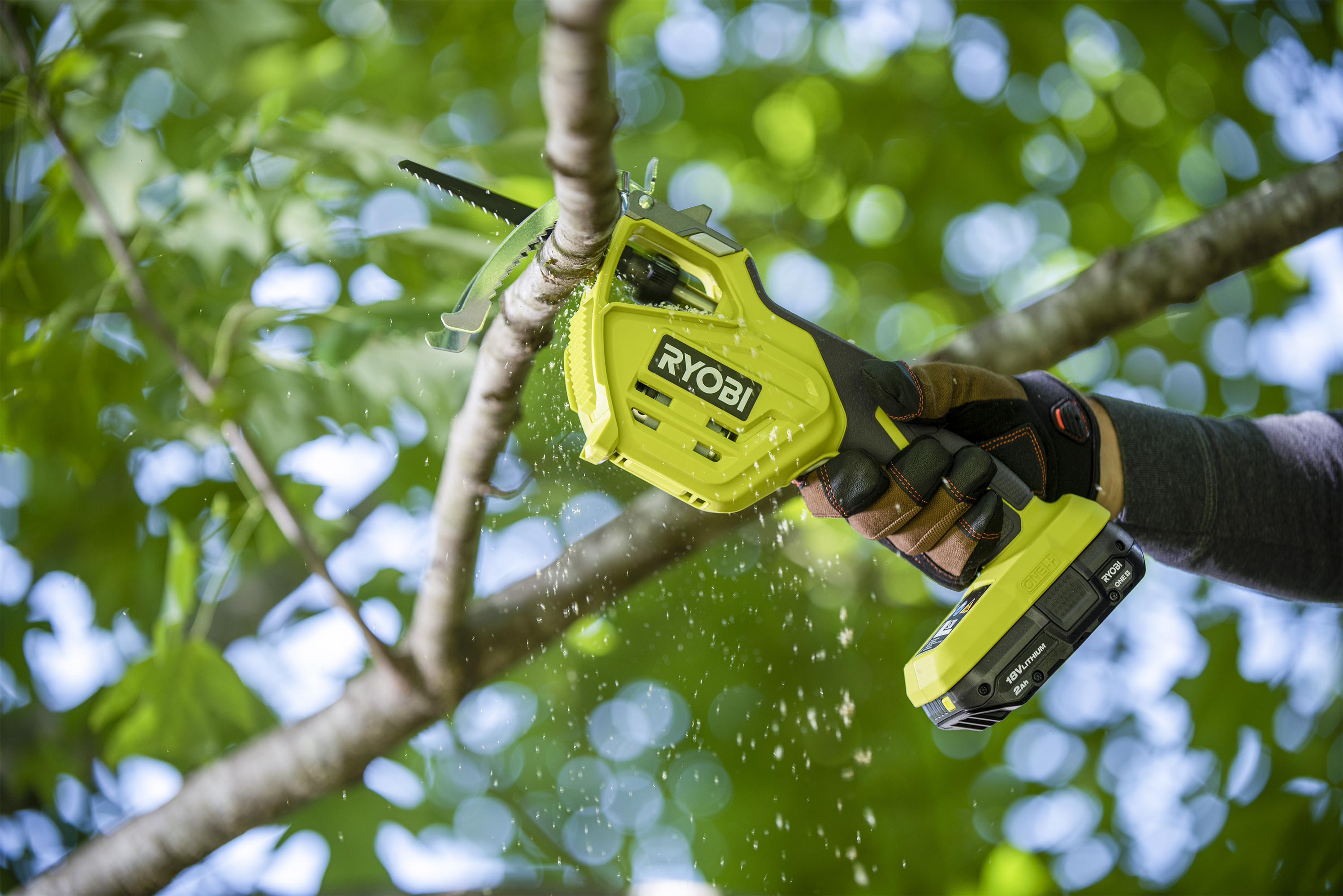 Removable Branch Hook